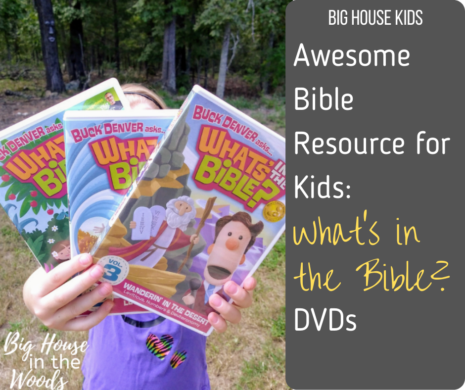 What's in the Bible DVDs