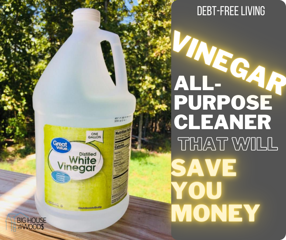 Vinegar All Purpose Cleaner that will save you money